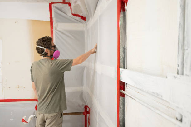  Eatonton, GA Mold Removal Pros