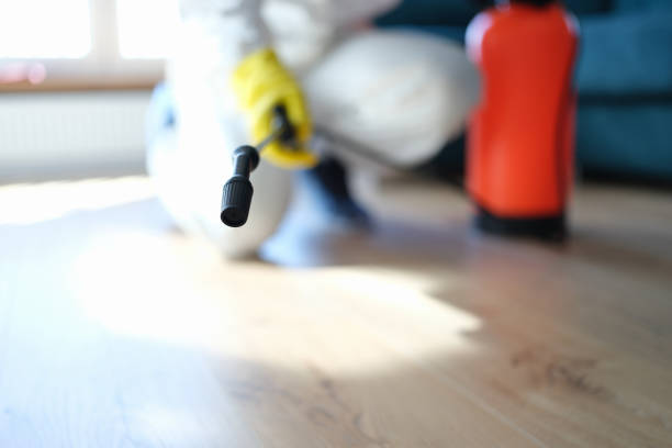 Best Dehumidification Services  in Eatonton, GA