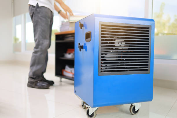 Best Mold Documentation for Insurance Claims  in Eatonton, GA